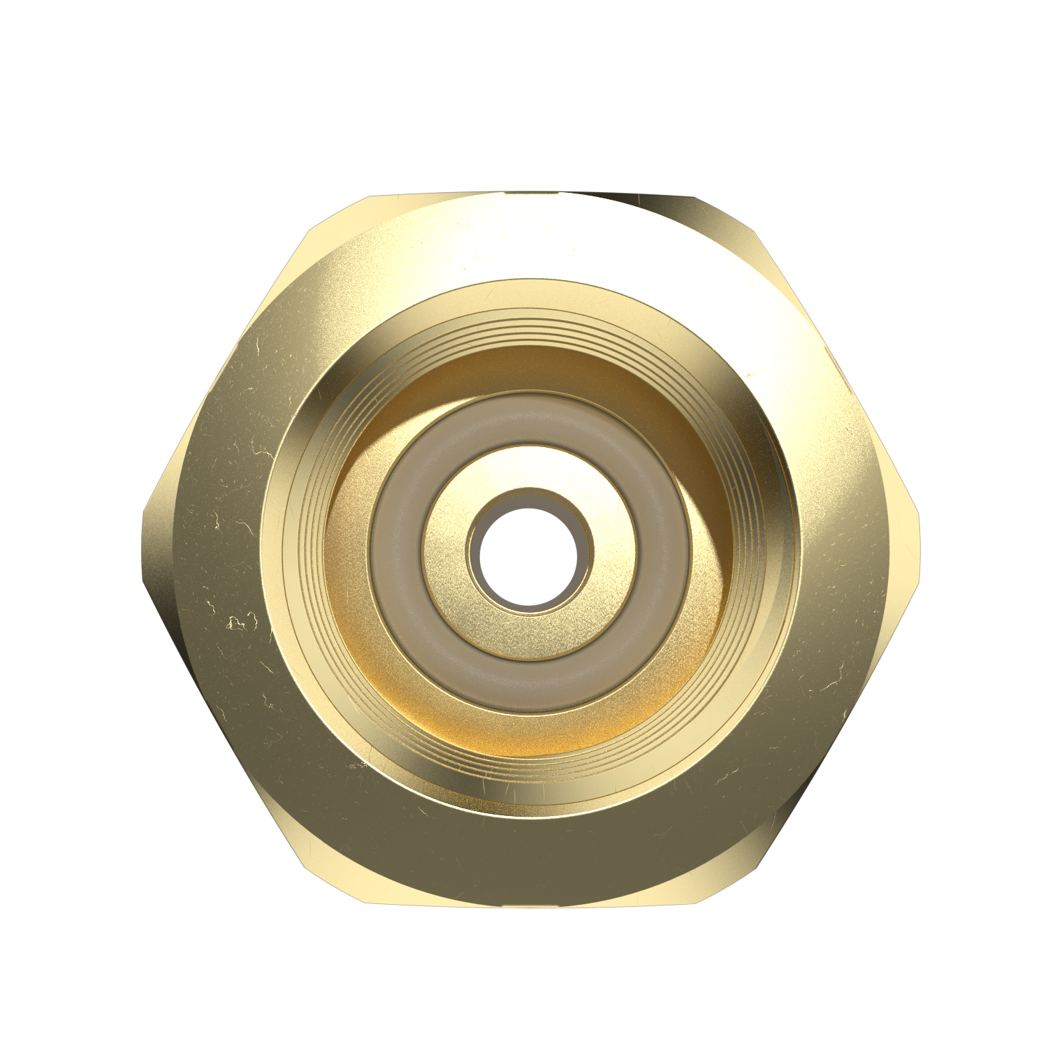 CGA-320 O-Ring View